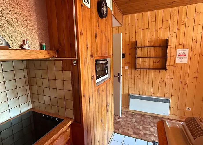 Au Cœur De Besse, Vue Sur Montagnes - Fr-1-814-101 * Super-Besse